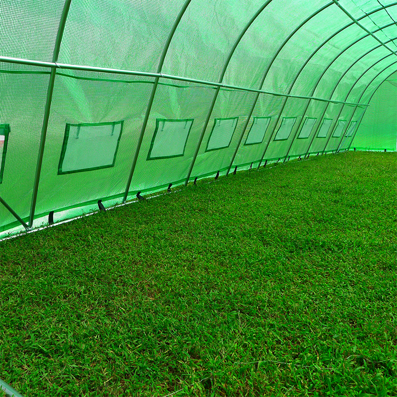 Rumah Hijau Polytunnel Tugas Berat Besar 4x10x2.3m