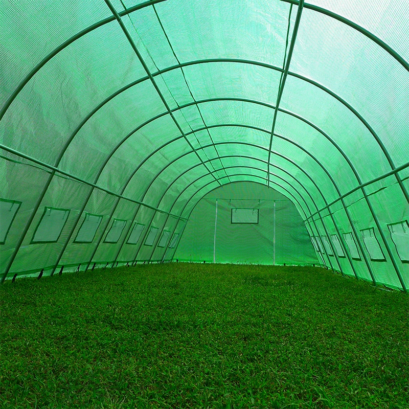 Rumah Hijau Polytunnel Tugas Berat Besar 4x10x2.3m